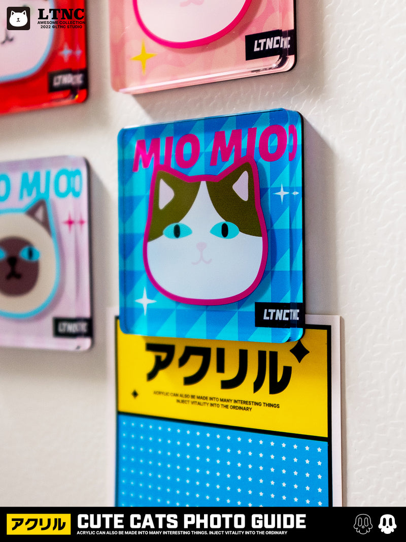 CUTE CATS MAGNETS