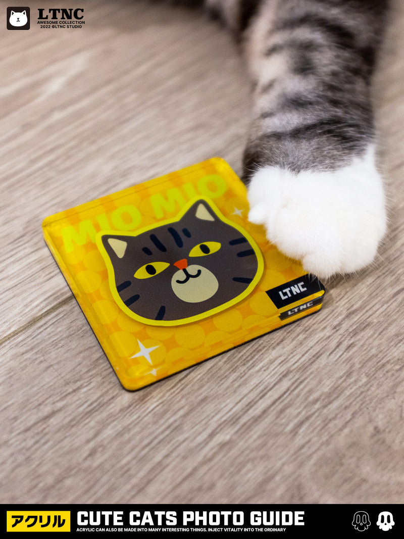 CUTE CATS MAGNETS